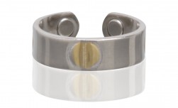 Buy Magnetic Two Tone Ring in Fresno, California