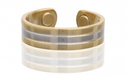 Buy Magnetic Two Tone Ring in Virginia Beach, Virginia